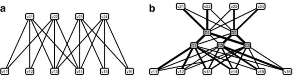 Figure 2: Toy example of a bipartite graph (a) from [LWZY06], with its backbone network and fuzzy clusters (b)