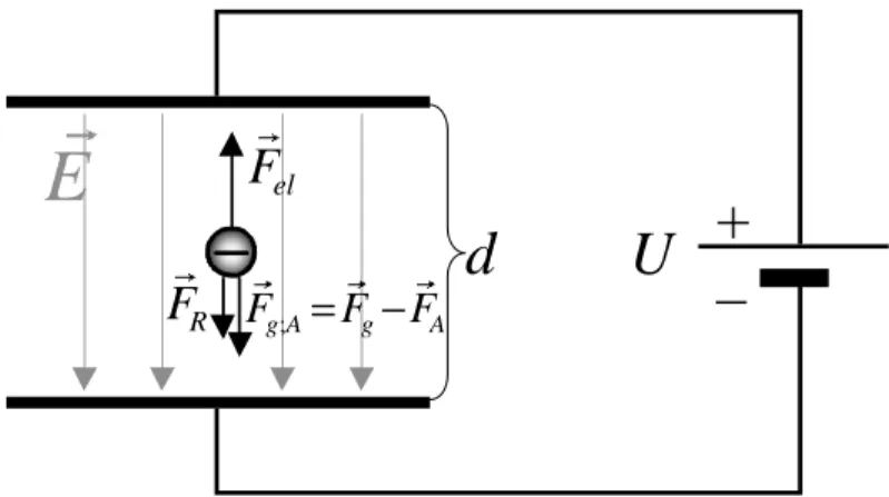 Abbildung 1.1: Die auf die Öltröpfchen wirkenden Kräfte sind die Gewichtskraft ~ F g , die Auf- Auf-triebskraft ~ F A und die Reibungskraft ~ F R 