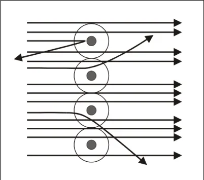 Abbildung 1.1: Streuung von α-Teilchen an einer einzelnen Schicht Goldatome