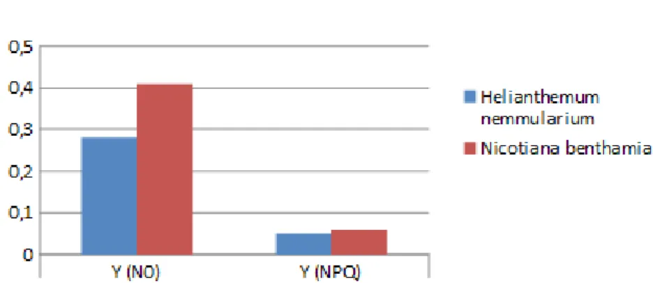 Abbildung 4c: Vergleich der Y(N 0 )- und Y(NPQ)-Werte auf 1600 Hm 