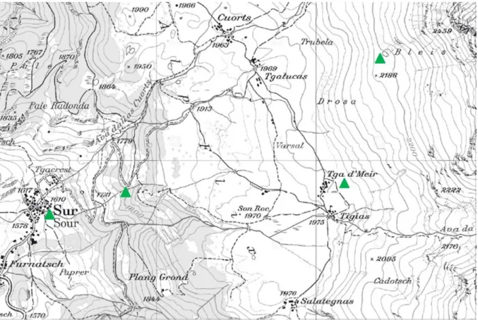Abbildung 1: Übersichtskarte des Untersuchungsgebiet mit den vier, als grüne Dreiecke dargestellten, Standorten der  Vegetationsaufnahmen (www.geo.admin.ch) 