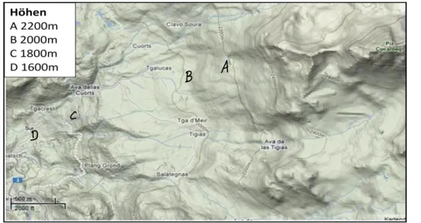 Abbildung 2: Skizze eines  ausgeworfenen Mess-Quadrats Zur Vegetationskartierung wurden an vier verschiedenen Standorten auf vier unterschiedlichen Höhen 