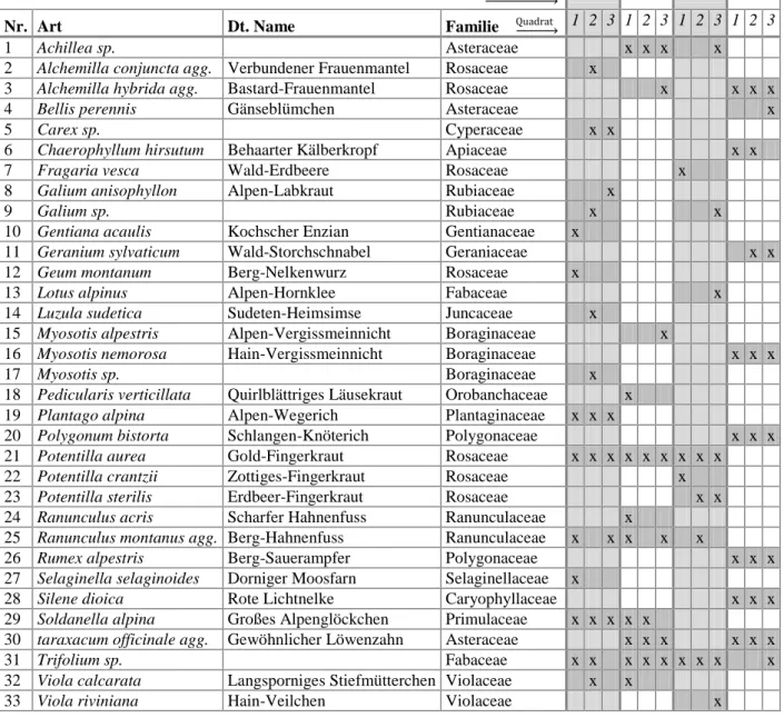 Tabelle 1: Übersicht der gefundenen Pflanzenarten in den  Quadrate 1-3 der jeweiligen Höhe (2200m-1600m) 