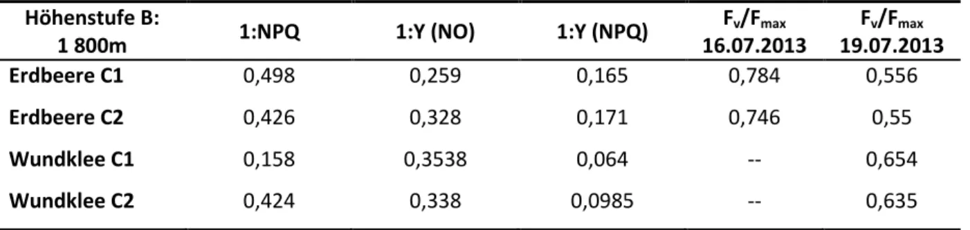 Tabelle 3: NPQ, Y(NO), Y(NPQ) und F v /F max  von Wundklee und Erdbeerpflanze auf einer Höhe von 1800m