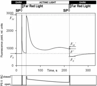 Abb.  2:  Chlorophyllfluoreszenzwerte  einer  PAM  Messung  mit  FM/FM‘  als  maximale  Fluoreszenzwerte  und  FO/FO‘ als Minimalwerte der Chlorophyllfluoreszenz; nach Pfündel, 2007, verändert