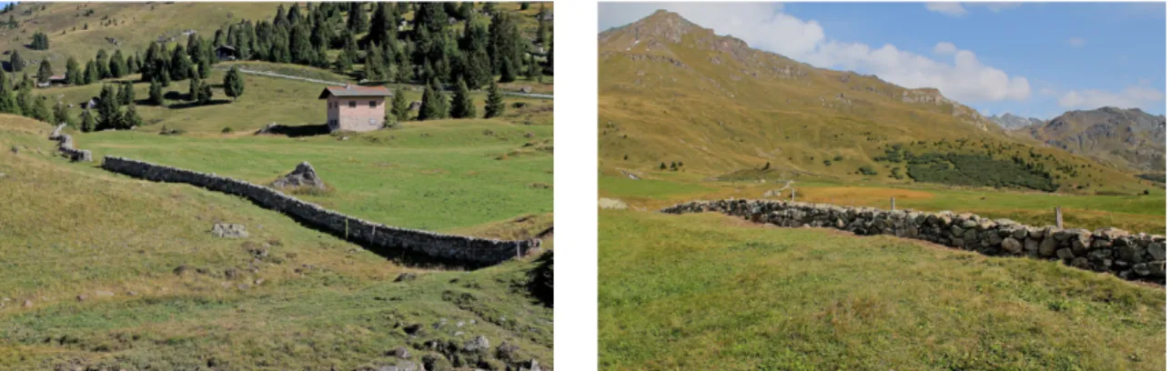Abb. 1 &amp; 2: Zwei der untersuchten frei stehenden, der Abgrenzung von Weide und Wiese  dienenden Trockenmauern auf der Alp Flix.