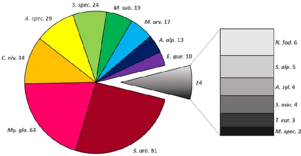 Abbildung 7: Verteilung der Funde auf die nachgewiesenen Arten (eigene Darstellung) 