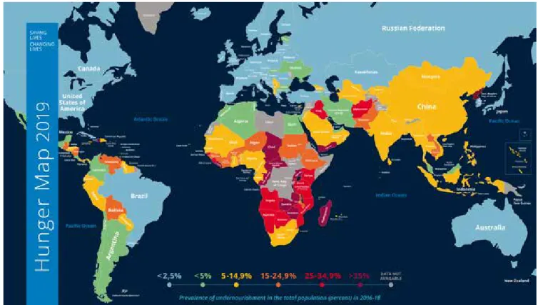Figure 1: Hunger map 2019, Source: World Food Programme