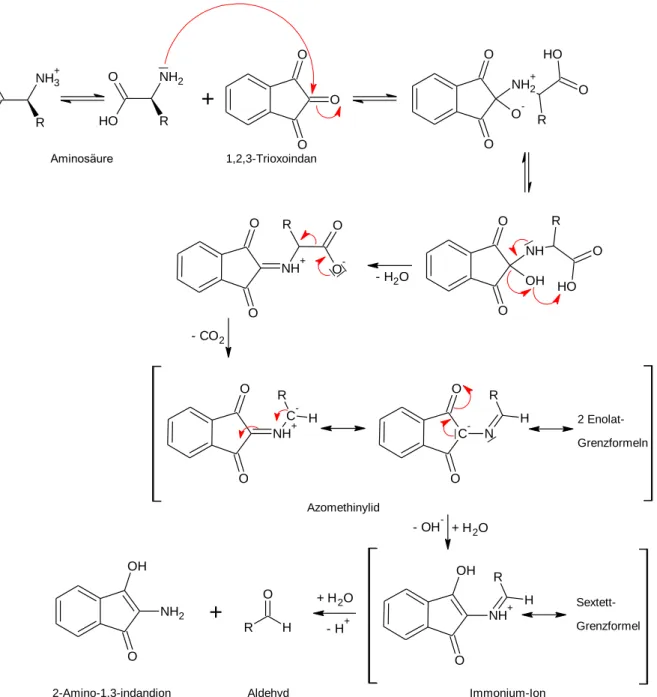Abb. 1: Mechanismus der 2-Amino-1,3-indandion-Bildung  [8, 9] . 
