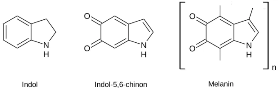 Abb. 9: Strukturformeln von Indol, Indol-5,6-chinon und Melanin.  [9] 