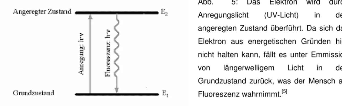 Abb.    5:  Das  Elektron  wird  durch  Anregungslicht  (UV-Licht)  in  den  angeregten  Zustand  überführt