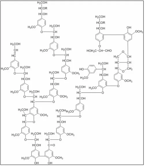 Abb.  2: Strukturformel von Lignin [2] 