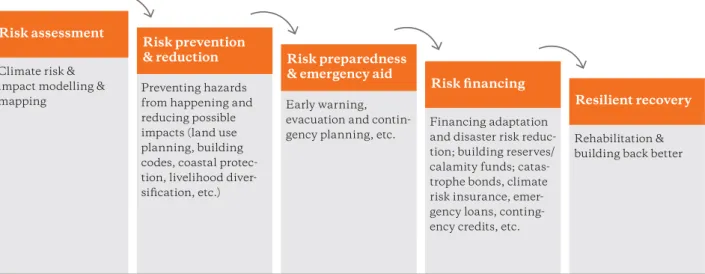 Figure 3: Elements of existing comprehensive climate risk management Source: Thomas Hirsch