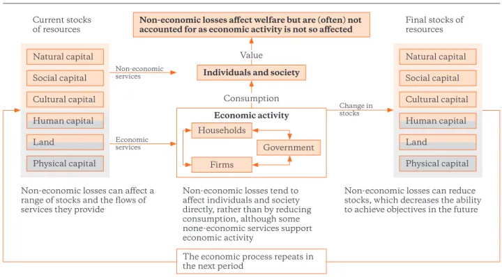 Figure 4: NELD and their direct and indirect effects on welfare and economic activities  Source: UNCCC 2013, p