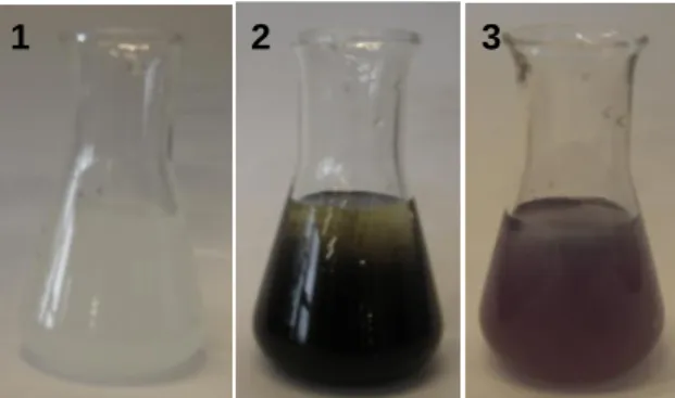 Abb.  2: Kaliumiodid-Stärke-Lösung 1 nach dem Einleiten des Anodengases 2                 und nach dem Einleiten des zuvor durch Chloroform geleiteten Anodengases 3.