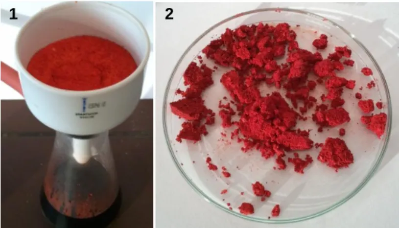 Abb. 5: Orangeroter Farbstoff als Filterkuchen 1, verteilt auf einer Petrischale 2. 