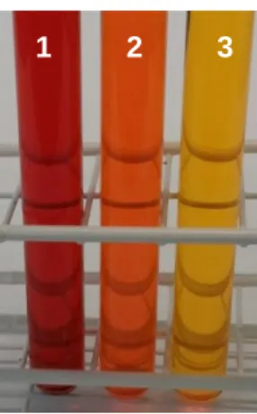 Abb. 6: In basischer Lösung (1: pH = 13)  tritt eine rote, in neutraler Lösung (2: pH = 7)        eine orangene und in saurer Lösung (3: pH = 2)  eine gelbe Färbung ein