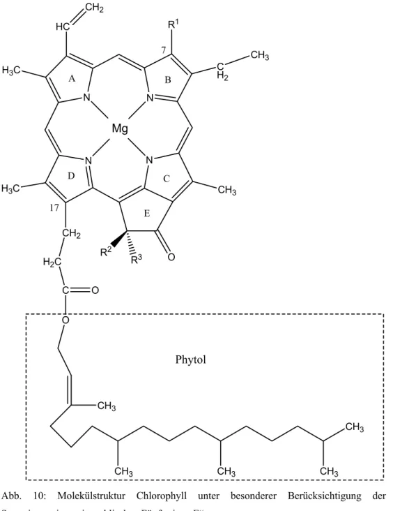 Abb. 10: Molekülstruktur Chlorophyll unter besonderer Berücksichtigung der  Stereoisomerie am isozyklischen Fünferring „E“ 