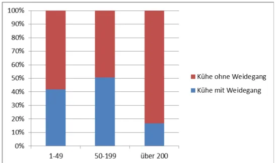 Grafik 8 Anteil der Kühe mit Weidegang nach Betriebsgröße. Quelle: BMELV (2010), eigene Darstellung 