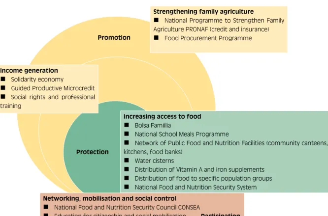 Figure 3:  Fome Zero’s field of actions for social security