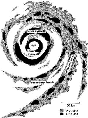 Figure 1.12: Typical banded radar reflectivity pattern in a Northern Hemisphere tropical cyclone with 50-60 m s −1 maximum wind in a sheared environmental flow (From Willoughby 1988)