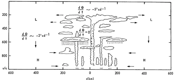 Figure 2.5: Schematic diagram of radiatively-induced circulation in a tropical distur- distur-bance