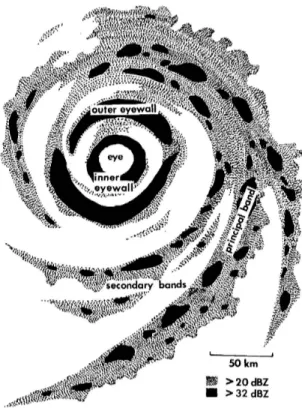 Figure 1.12: Typical banded radar reﬂectivity pattern in a Northern Hemisphere tropical cyclone with 50-60 m s −1 maximum wind in a sheared environmental ﬂow (From Willoughby 1988)