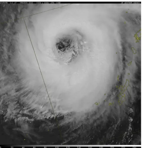 Figure 1.1: Infra-red satellite imagery of a typhoon.