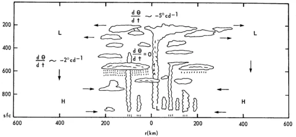 Figure 2.7: Schematic diagram of radiatively-induced circulation in a tropical distur- distur-bance