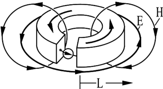 Abbildung 5.2: MQS: ideal leitende Schleife. Die An- An-regung erfolgt durch eine Stromquelle.