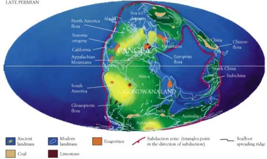 Fig 2.5 Die Welt im späten Paläozoikum (spätes Perm). Es hat sich ein Superkontinent (Pangaea) gebildet
