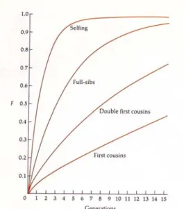 Fig 3.8 Berechnen des F-Werts aus bekanntem Stammbaum. Homozygote können in den Nachkommen auf  zwei  Arten  entstehen  (links:  Entstehung  von  AA,  rechts:  BB),  entsprechend  den  ursprünglichen,  durch  gemeinsame Abstammung vererbte Allele