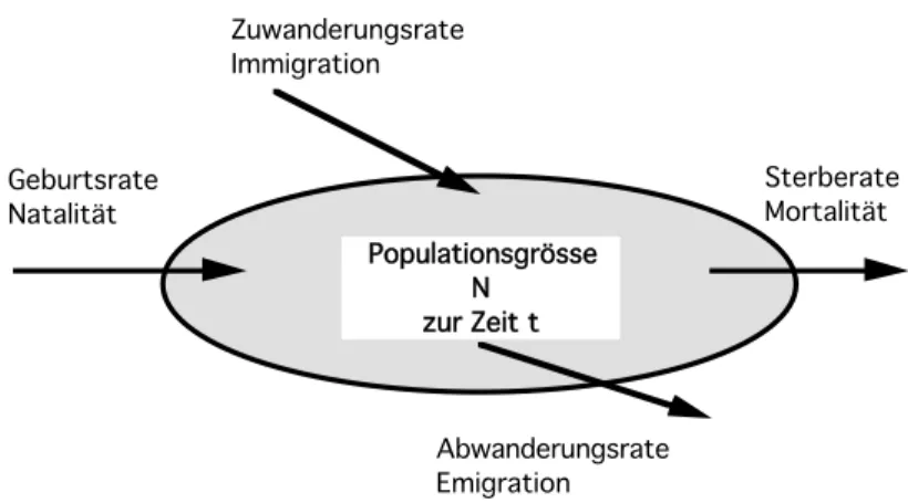 Fig 6.1  Die Populationsgrösse N zur Zeit t ist das Ergebnis verschiedener Prozesse. 