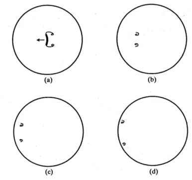 Figure 4.3: Teacup vortices.