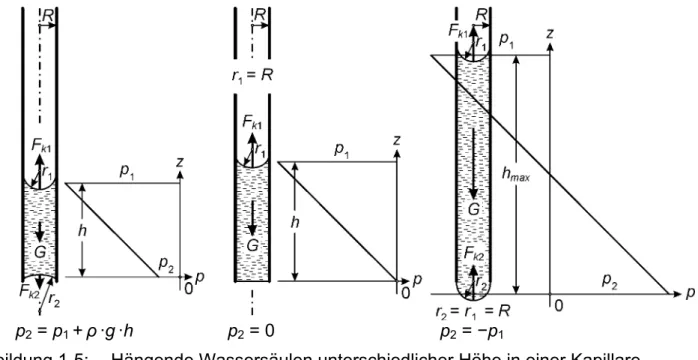 Abbildung 1-5:  Hängende Wassersäulen unterschiedlicher Höhe in einer Kapillare 