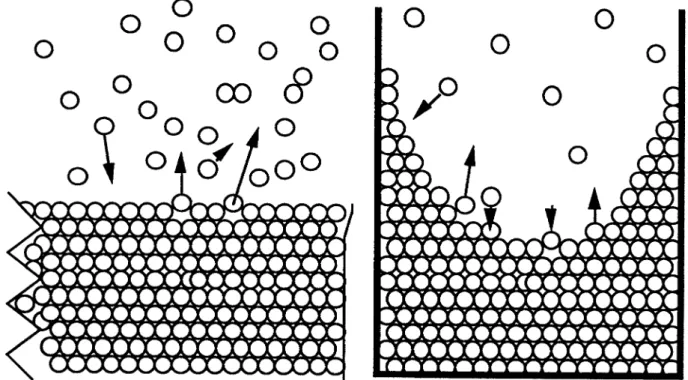 Abbildung 1-16:  Fugazität von Wassermolekülen [FLÜHLER, 1991] 