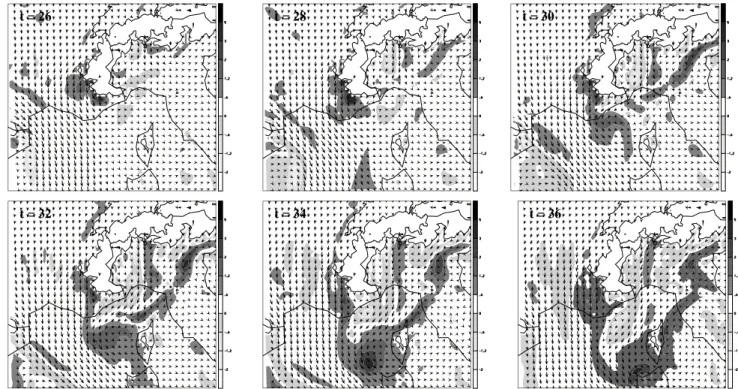 Fig. 9 PV und Windvektoren auf 850 hPa w¨ahrend einem Fall von Lee-Zykolgenese.