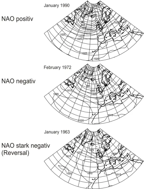 Fig. 14: Bodendruckfeld über Europa im Januar 1990, Februar 1972 und Januar 1963 (aus Wanner et al., 2001)