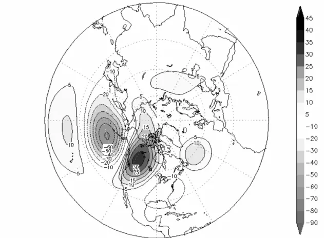 Fig. 20: Ladungsmuster der geoptentiellen Höhe der 500 hPa Fläche für die PNA (Quelle: NOAA)