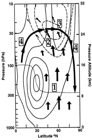 Figur 24 zeigt schematisch die ganze Zirkula- Zirkula-tion. Die polwärts gerichtete Bewegung wird  ergänzt durch Aufsteigen in den Tropen und  Absinken in den polaren Regionen