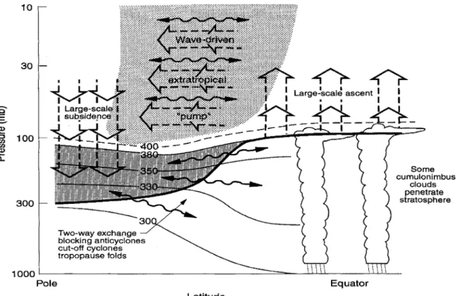 Fig. 25: Schematische Darstellung der Brewer-Dobson-Zirkulation (aus Holton et al., 1995)