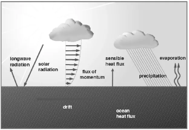 Figur 35 zeigt schematisch die wichtigsten Prozesse an der Schnittstelle zwischen Ozean und  Atmosphäre