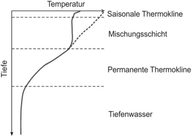 Fig. 39. Temperaturprofil im Ozean (schema- (schema-tisch).