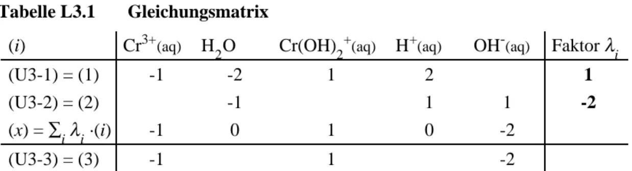 Tabelle L3.1 Gleichungsmatrix