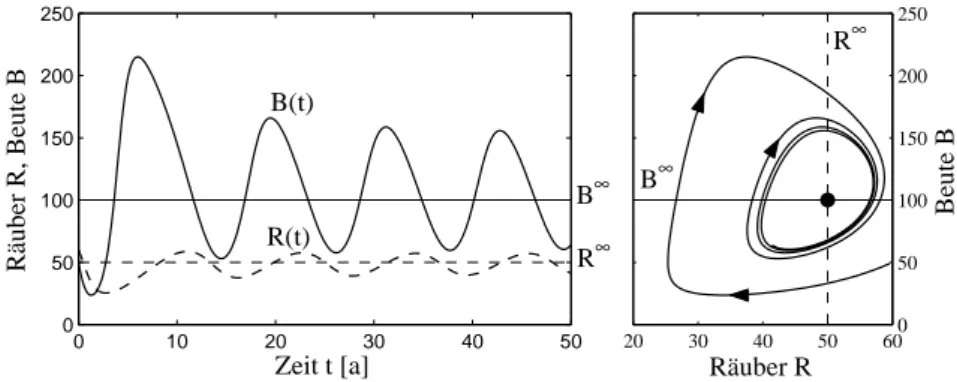 Abbildung 6.18 zeigt das Einschwingen der periodischen Schwankungen von B(t) und R(t) auf den Grenzzyklus.