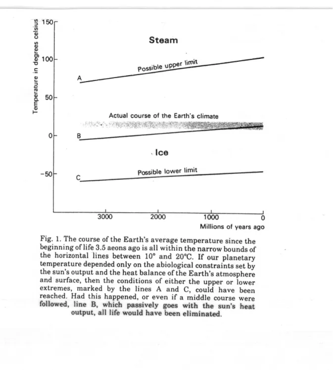 Fig. 2.2.2   Konstanthalten der Durchschnittstemperatur (Quelle: Lovelock. J.E.; 1987;  p