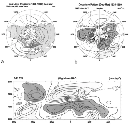 Figure 2. Spatial pattern of the NAO and its influence on temperature and precipitation, defined for winter means (December to March); (a) SPL anomalies projected on the NAOI (Hurrell, in Visbeck et al., 1998)