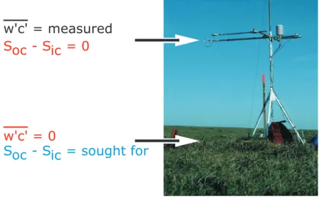 Figure 1 illustrates how the eddy covariance point measurement allows to quantify the net source and sink term in Eq