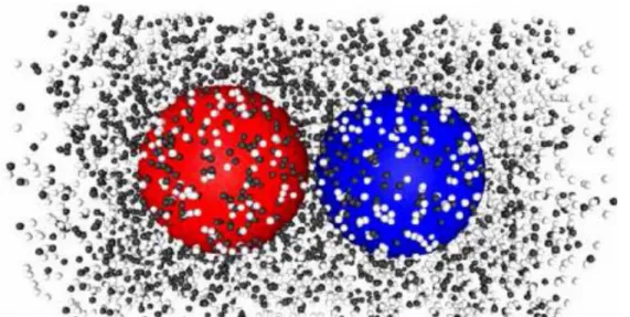 FIG. 3 (color online). Snapshot of the A (gray) and B (black) particles in the vicinity of the nanodimer in the  quasi-steady-state regime