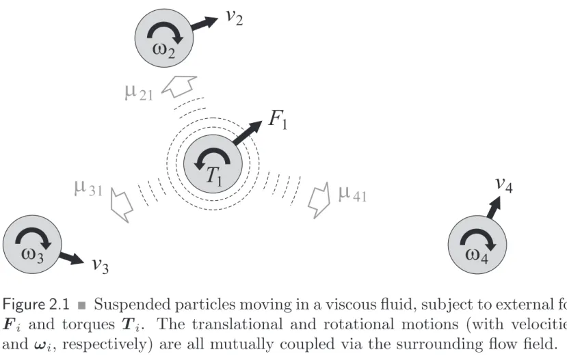 Figure 2.1 ! Suspended particles moving in a viscous fluid, subject to external forces F i and torques T i 